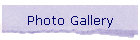 Photo Gallery